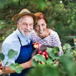 physical therapy martinsburg