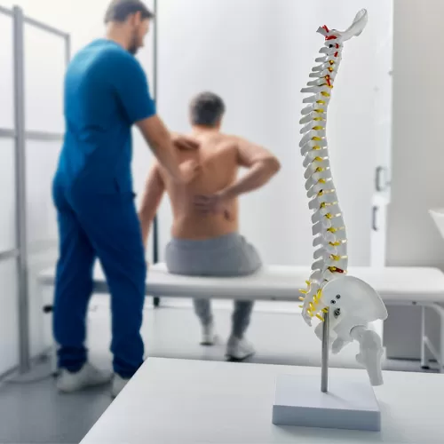 Physical Therapy Back Exam